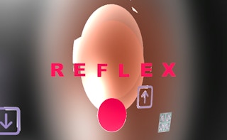 Image Reflex